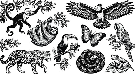 Set of hand drawn vintage engraved black and white tropical rainforest jungle animals and exotic wildlife vectors. © VactorZone