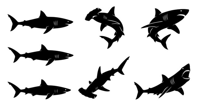shark silhouettes in side view, solid black shapes, each in different poses such as swimming forward.