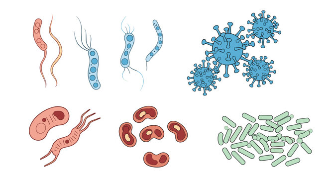 Scientific illustration showing various types of microscopic organisms including different shapes of bacteria and spherical virus particles.