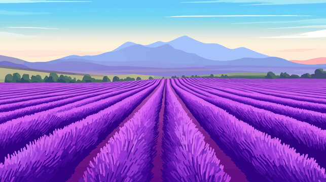 Vibrant lavender fields stretch towards distant mountains under sky