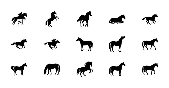 Diverse collection of black horse silhouettes displaying various dynamic poses including jumping galloping rearing and standing positions in a clean minimalist vector illustration style perfect for eq