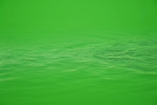 Green screen background, chroma key, wavy texture, green gradient