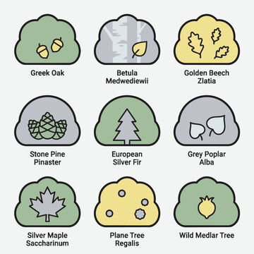 Collection of stylized tree icons with leaves and fruits, vector illustration