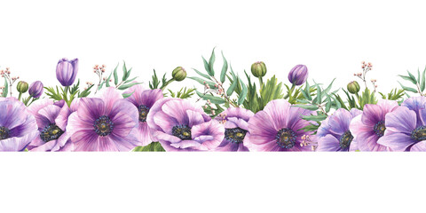 Watercolor Anemones flowers with purple and pink buds and green leaves with eucalyptus branches floral seamless border. Realistic horizontal pattern. Hand drawn isolated from background illustration. © Bartol_art