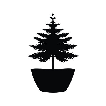 Silhouette of a young pine tree seedling in minimalist black and white vector design, pine tree seedling silhouette vector illustration