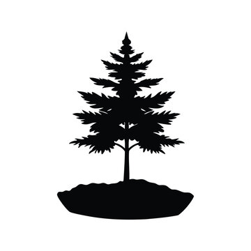 Silhouette of pine tree seedling in black and white minimalist vector illustration design, pine tree seedling silhouette vector illustration
