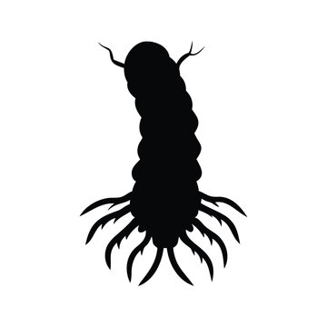 Silhouette of root maggot pest insect isolated black and white vector illustration design, root maggot silhouette vector illustration