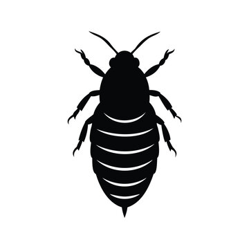 Black and white scale insect detailed body segments silhouette vector illustration design, scale insect silhouette vector illustration