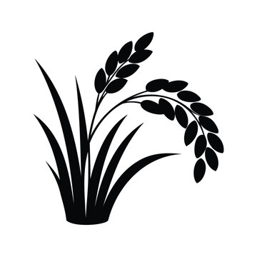 Silhouette of rice plant with seeds minimalist black and white vector illustration design, rice seeds silhouette vector illustration