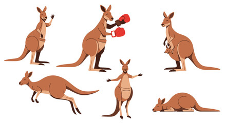Fototapeta premium Collection of kangaroo illustrations featuring the Australian marsupial in various poses including boxing, jumping, and resting with a joey.