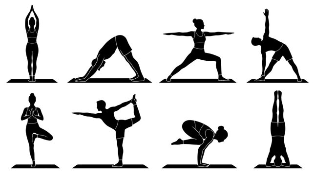 Collection of various yoga poses for flexibility and balance.