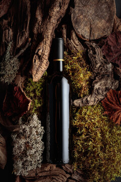 Bottle of red wine against a backdrop of moss and dry driftwoods.