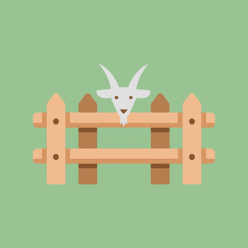 Minimalist Flat Design Illustration of a White Goat Peeking Over a Wooden Fence on a Green Background