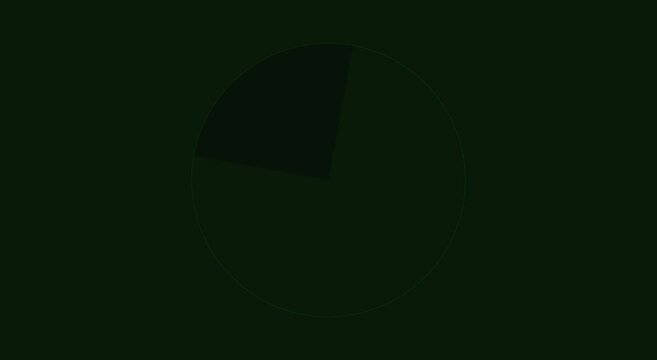 Animated pie chart loading progress bar for business data animation