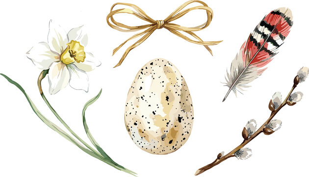 Spring Easter Vector Illustration Elements Collection with Daffodil Flower Speckled Egg Ribbon Bow Feather and Pussy Willow