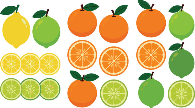 Fresh citrus fruit vector set featuring orange lemon lime slices and whole tropical fruits isolated on white background