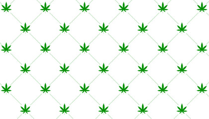 Obraz premium green marijuana cannabis leaf pattern background