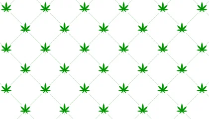 green marijuana cannabis leaf pattern background © starlineart
