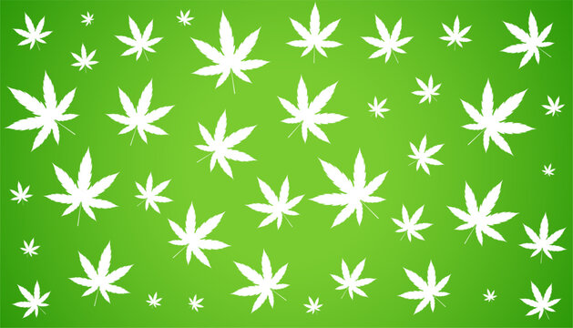 white marijuana cannabis leaves pattern background