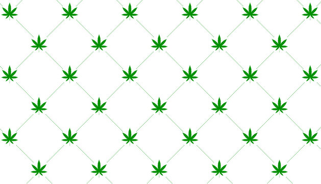 green marijuana cannabis leaf pattern background