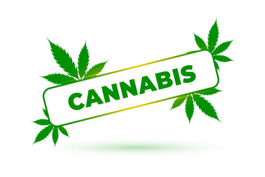 natural green marijuana cannabis leaves label design