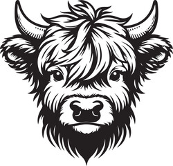 Obraz premium Highland Cow 