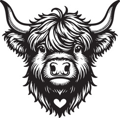 Fototapeta premium Highland Cow 
