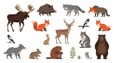 Fototapeta premium Diverse collection of forest and woodland animals including a moose, bear, fox, wolf, deer, rabbit, and various birds and rodents.