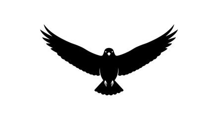 Fototapeta premium Black Silhouette of a Majestic Hawk or Eagle in Flight with Spread Wings Isolated on White Background