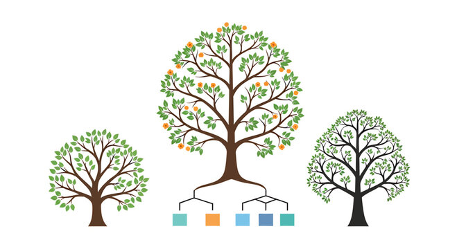 Organizational tree structure representing growth and development