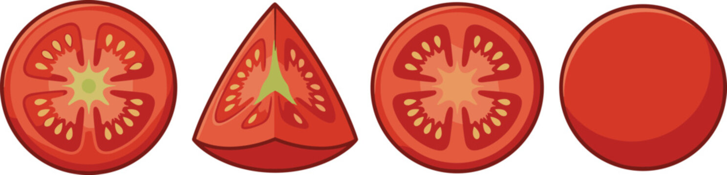 Tomato slices collection set with whole and cut views, fresh vegetable vector illustration for cooking, food and healthy nutrition design projects