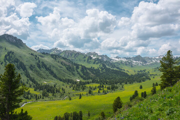 Vivid green landscape with forest hills and high rock tops and peaks with snow under lush clouds in blue sky. Alpine view from coniferous trees on hill to big sharp rocky mountains with sheer crags. © Daniil