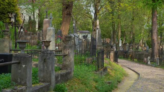 Old cemetery landscape with stone monuments and iron fences along a curved cobblestone path. Historical graveyard scene featuring ancient tombstones, green trees, and peaceful atmosphere.