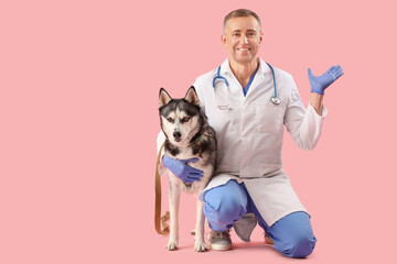 Male veterinarian with cute husky dog on pink background © Pixel-Shot