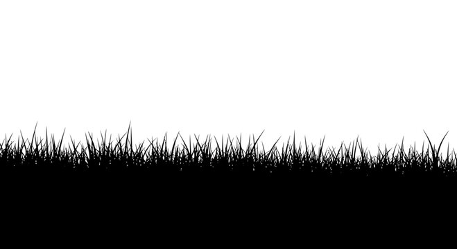 Black grass silhouette border on white background