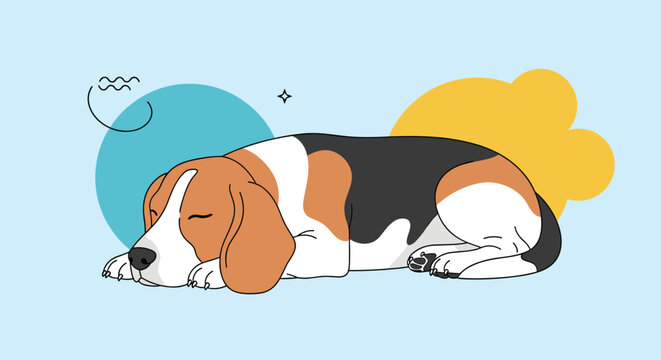 Cute beagle dog is peacefully sleeping on a light blue background decorated with abstract geometric shapes and stars.