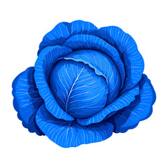 Obraz premium Fresh organic blue cabbage background vector