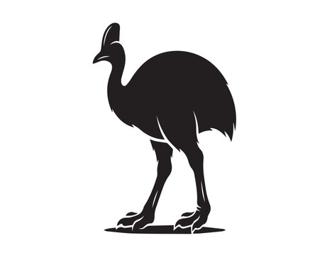 black cassowary long leg with white background