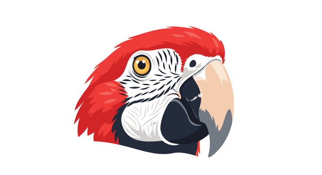 Detailed colorful illustration of a red macaw parrot head with white facial patch and large beak on white background.