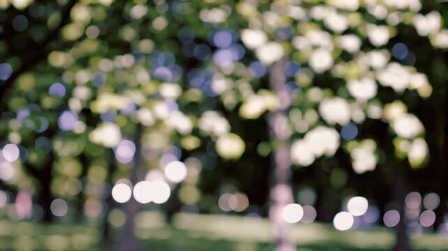 Soft green blurry nature background with bokeh