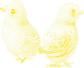 Two small yellow chicks in a minimalist dotted pattern on a white background symbolizing innocence and new beginnings © rokeya
