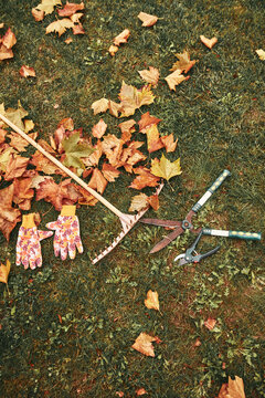 Gardening tools for autumn seasoning maintenance of a backyard.