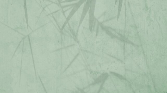 Green background shadow leaves bamboo grey abstract backdrop summer naturedesert, template travel luxury design wallpaper surface display for presentation product cosmetic, minimalist pattern