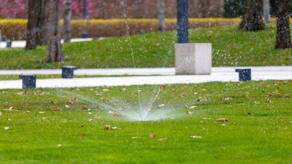 Fototapeta premium Fountain sprays water over grass with fallen leaves