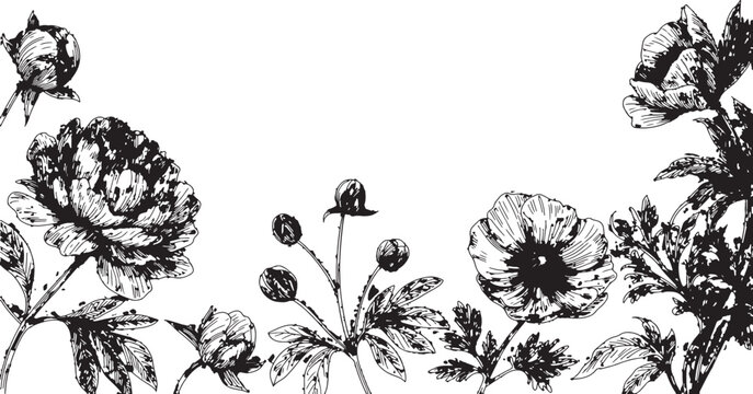 Hand Drawn Poppy Flower Line Art Border with Botanical Blooms, Buds and Leaves for Wedding Invitation and Floral Stationery Design