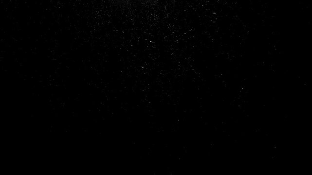 Rain drops falling in darkness on a black background. 