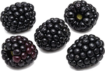Five Blackberries on White Background blackberry berry © azmir