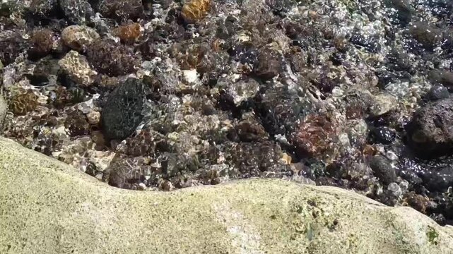 clear upstream river flow with pebbles