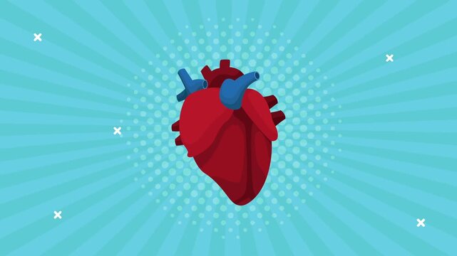 Anatomical heart pumping animation on blue background with sunburst and polka dot pattern, animated medical organ.