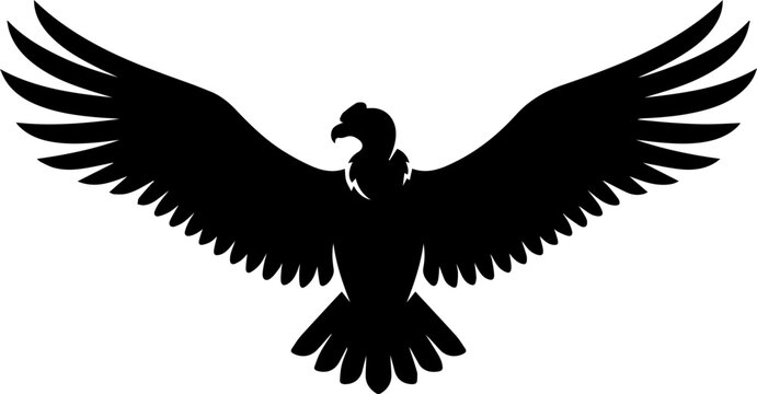 black condor flying inthe air